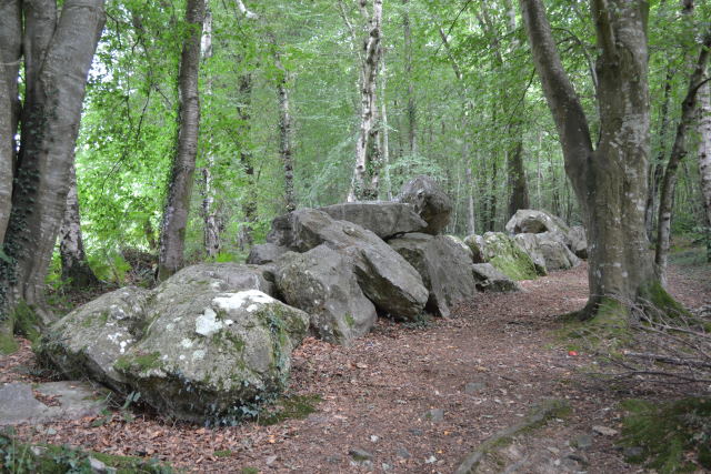 Photo de Michel
